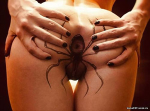 тату паука на интимных местах девушка стоит раком на очке наколот паук