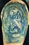 тату оскал тигра на плече оскалился на власть качественное тату
